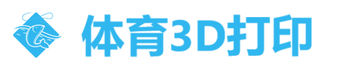 杏彩体育-体育装备与3D打印技术专家