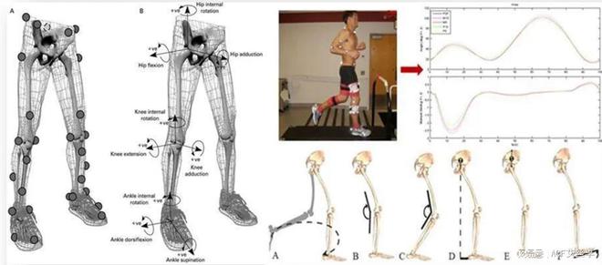 广体—林至运动防护与高分子材料联合实验室的设计创新与研究方向(图4)