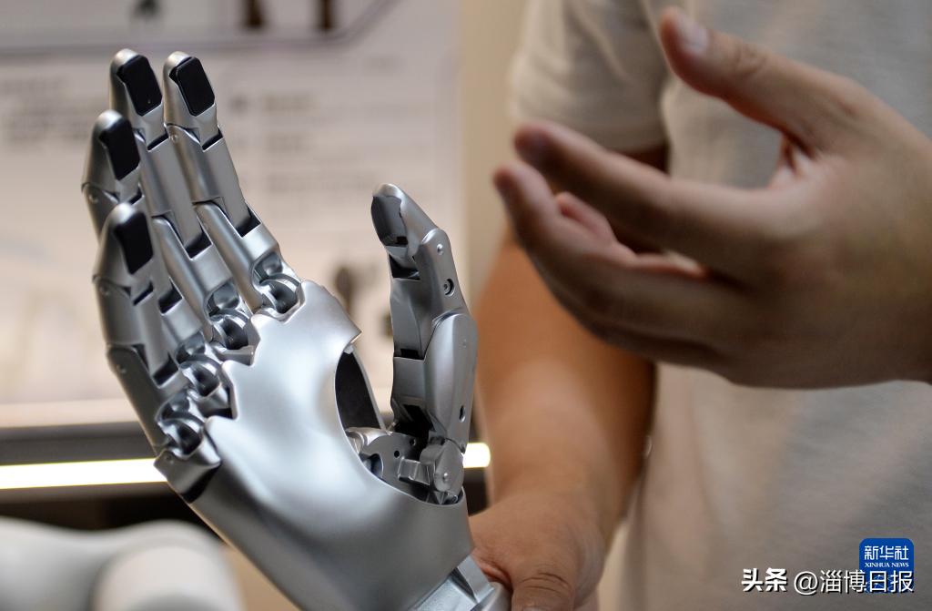 提“智”向新奔向未来(图4)