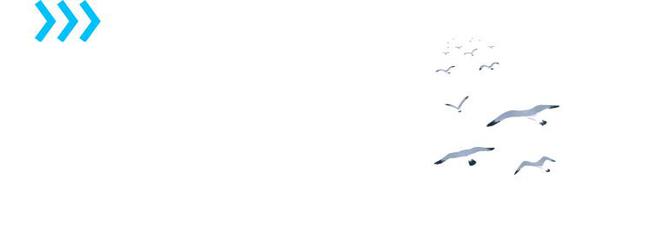 【嘉宾访谈2024】对话丨我命由我不由天丨小德专访(图7)