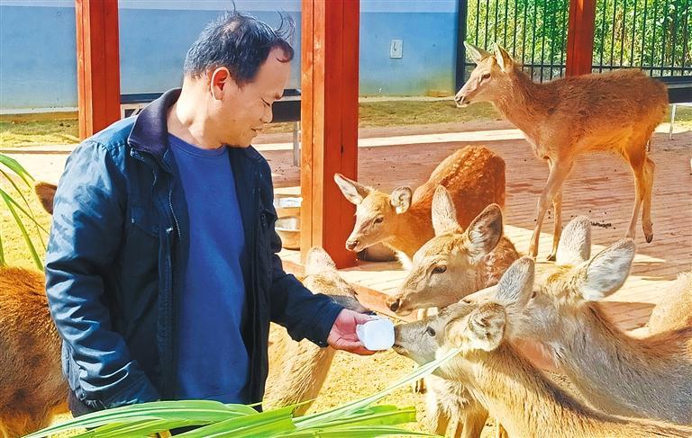 【高质量发展产业调研】林下生金(图3)