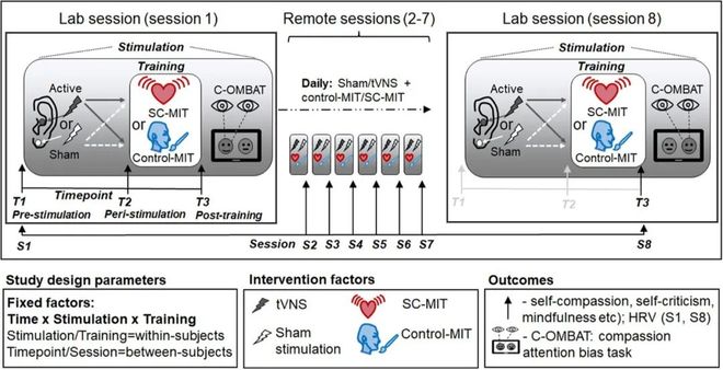 追问daily 为何很多事情睡一觉就好；大脑冒险机制与童年资源有关；小脑或将成为控制假肢的新大脑(图4)