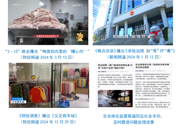 中央广播电视总台社会责任报告（2024年度）(图9)