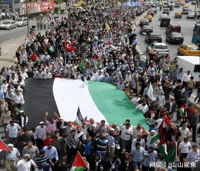 加沙饥饿婴儿画面曝光营养不良死亡数万网友 来卖惨当寄生虫(图12)