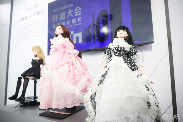 外滩大会上“秀绝活”机器人离我们的生活还有多远？(图32)