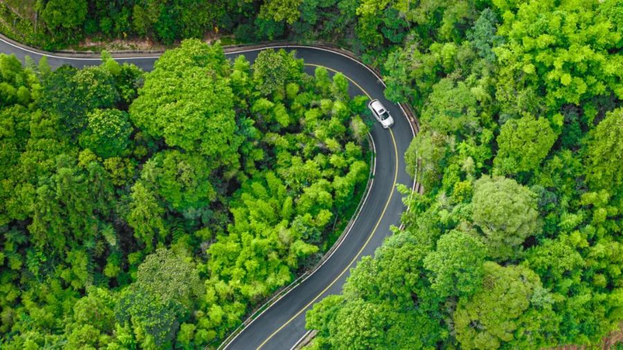 广东发文建设体育强省：体育赋能经济以十五运等赛事促湾区融合(图2)