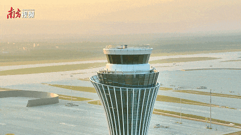 犀利！原来它们都是Made in 肇庆！(图5)