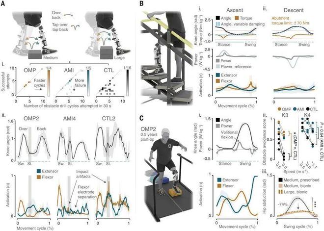 Science正刊：麻省理工学院Hugh Herr 教授成为仿生时代领导者！(图8)