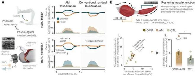 Science正刊：麻省理工学院Hugh Herr 教授成为仿生时代领导者！(图5)